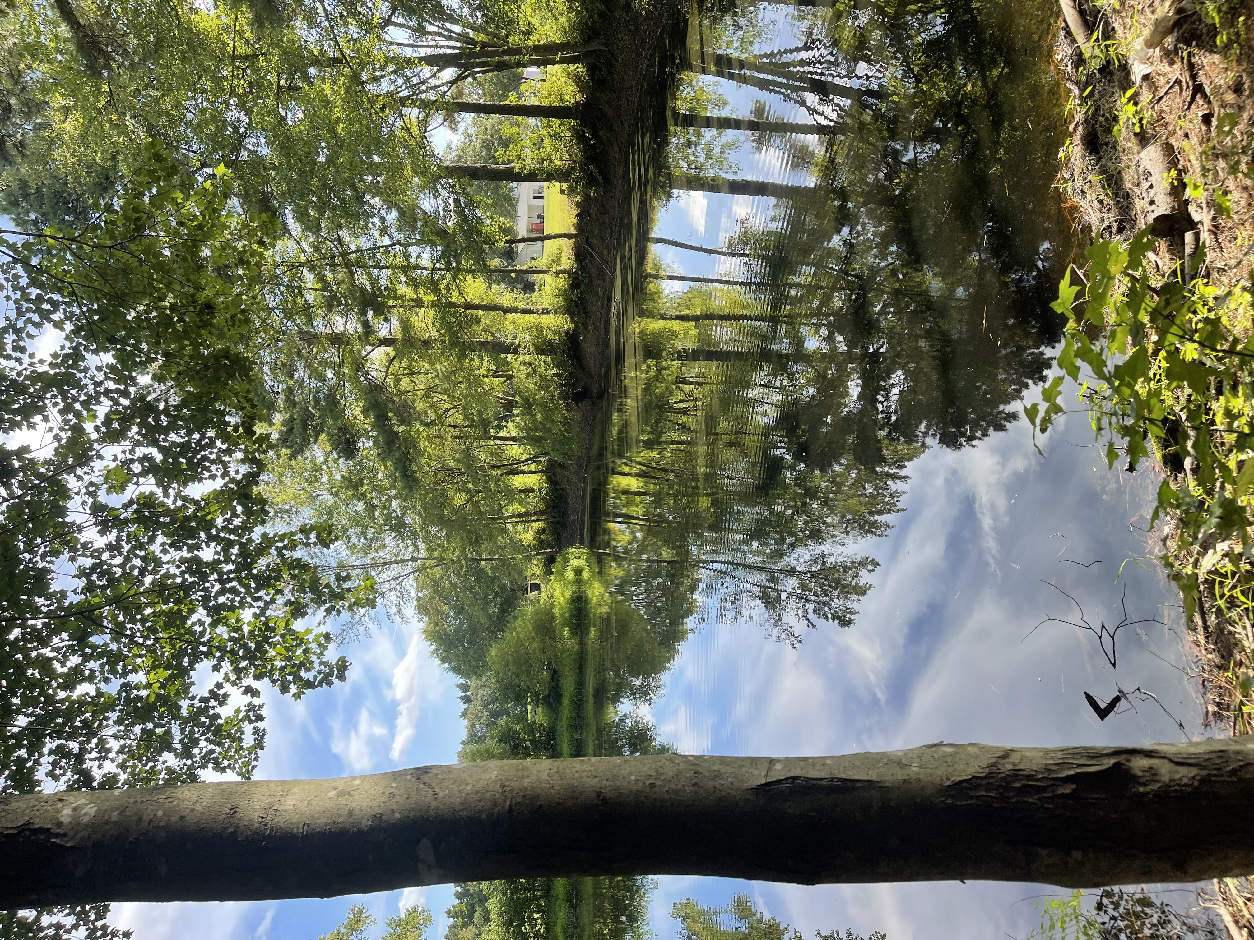 Glass Hollow pond